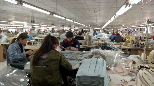 张立绪 把工厂建在家门口，让老百姓致富有门路