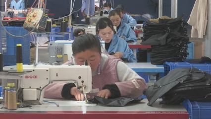 小箱包“缝”出大产业 埇桥区乡村振兴的坚实脚步